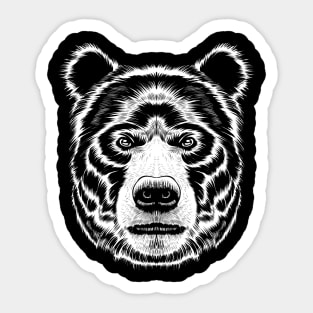 Bearded bear Sticker